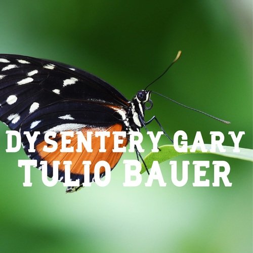 Academy cover art