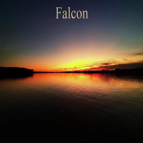 Falcon cover art