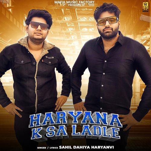 Haryana K Sa Ladle_poster_image