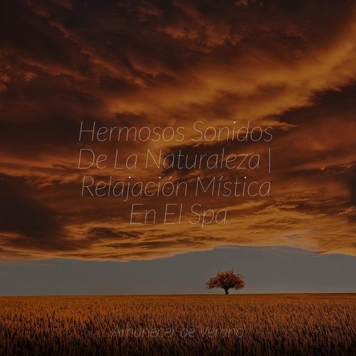 Olas Susurrantes Sueño cover art