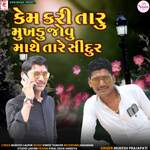 Kem Kari Taru Mukhdu Jovu