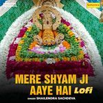 Mere Shyam Ji Aaye Hai Lofi
