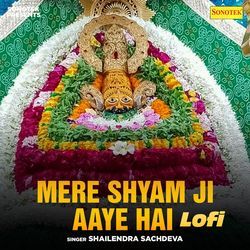 Mere Shyam Ji Aaye Hai Lofi