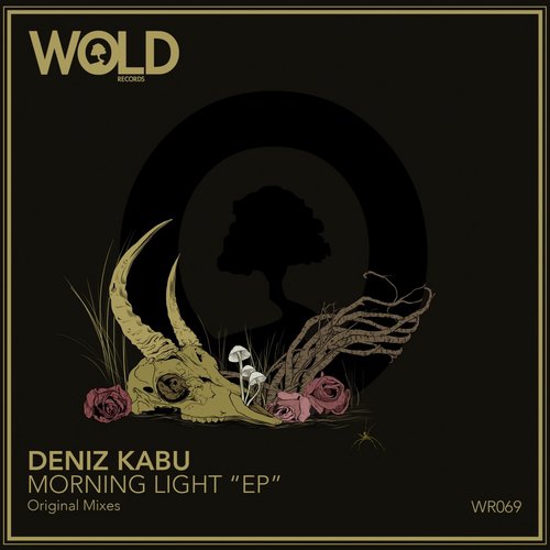 Morning Light cover art