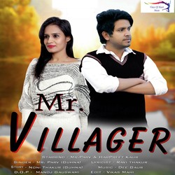 Mr.Villager-HSEJRURdf2Q