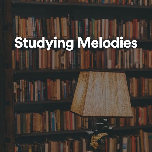 Studying Melodies_poster_image