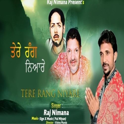 Tere Rang Niyare