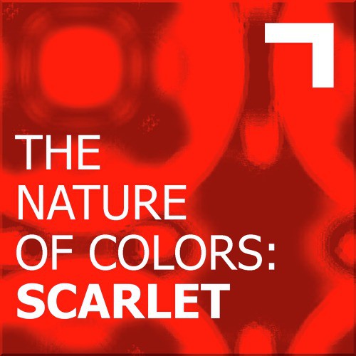 The Nature of Colors: Scarlet