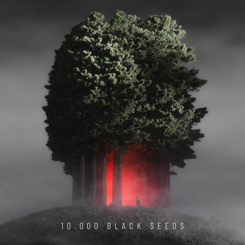 10.000 Black Seeds_poster_image