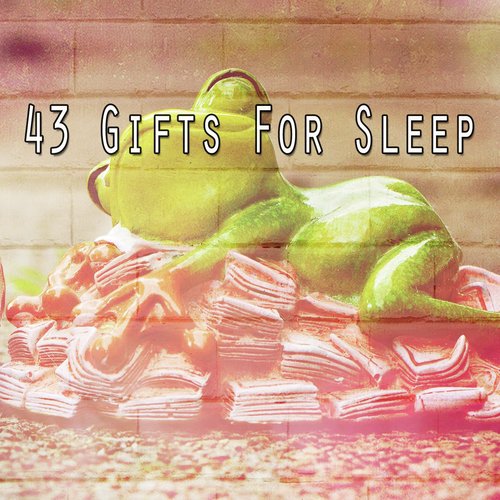 43 Gifts for Sleep