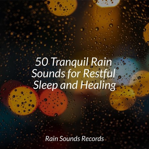 50 Tranquil Rain Sounds for Restful Sleep and Healing