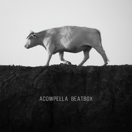 Acowpella Beatbox_poster_image