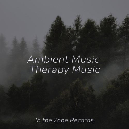 Ambient Music Therapy Music