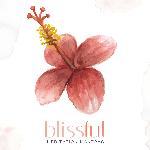 Blissful Meditation Mantras