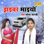 Driver Bhaiya  ka ho