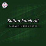 Faizaon Main Gonjey