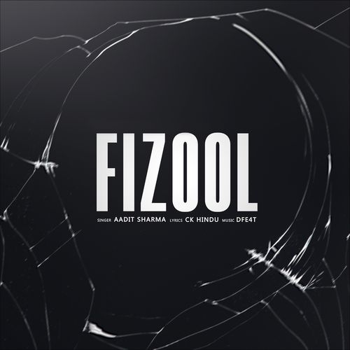 Fizool