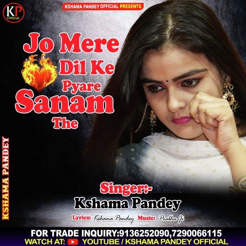 Jo Mere Dil Ke Pyare Sanam The