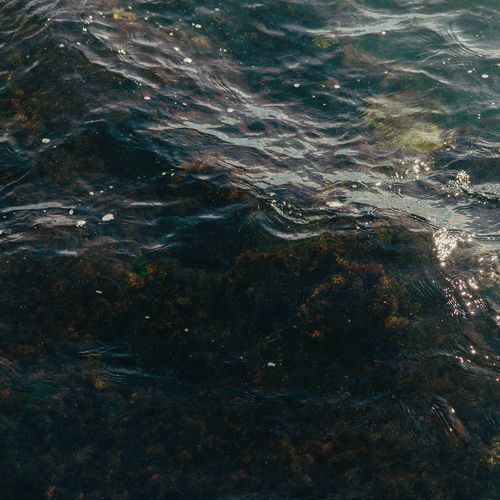 海のおかあさん(オルゴール)「崖の上のポニョ」より