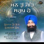 Mann Tu Jot Saroop Hai