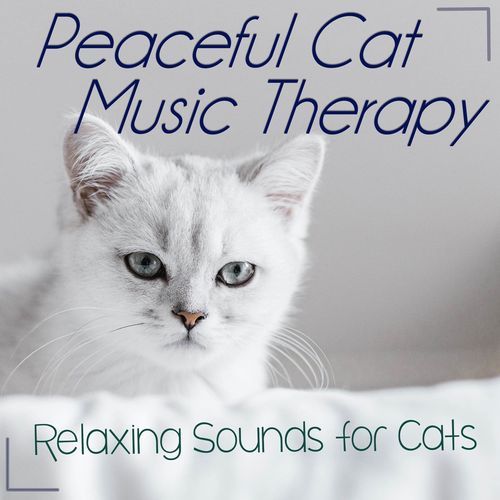Relax My Cat cover art