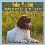Relax My Dog: Relaxing Sounds for Dogs to Help Calm