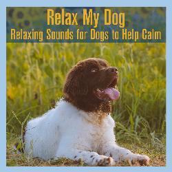 Relax My Dog: Relaxing Sounds for Dogs to Help Calm