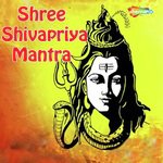 Arya Shree Appayadixit artwork
