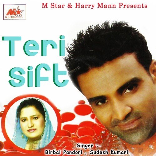 Teri Sift_poster_image