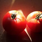 The Phenomenon Assembly Hall