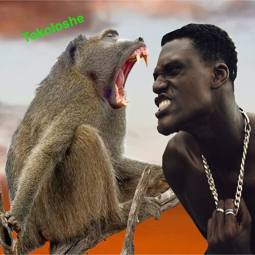 Tokoloshe cover art