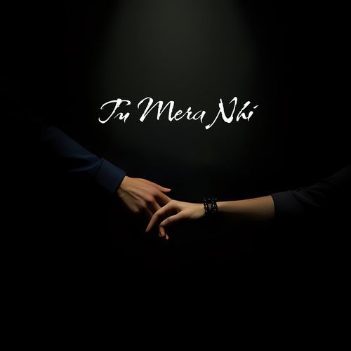 Tu Mera Nhi