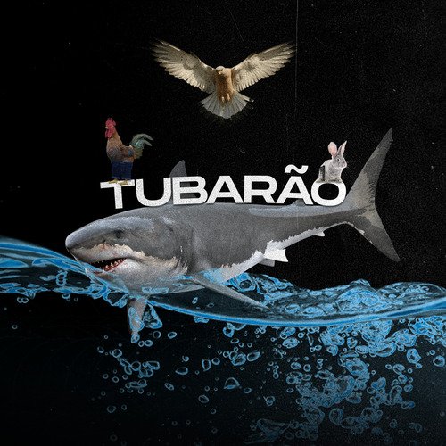 Tubarão
