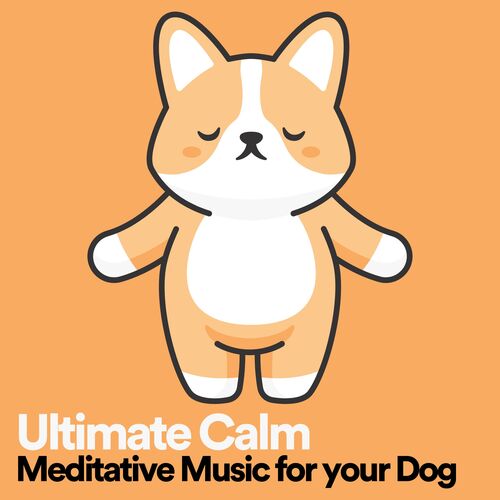 Ultimate Calm Meditative Music for your Dog, Pt. 10