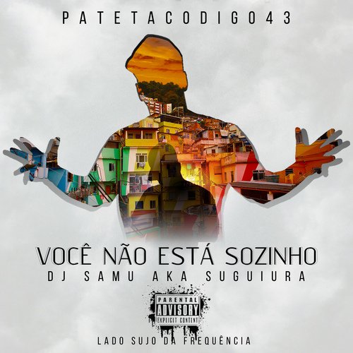 Você Não Está Sozinho_poster_image