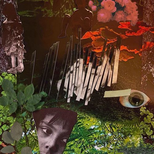 You See Me Through Your Eyes.