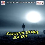 Bash Gail Piya Pardeshwa