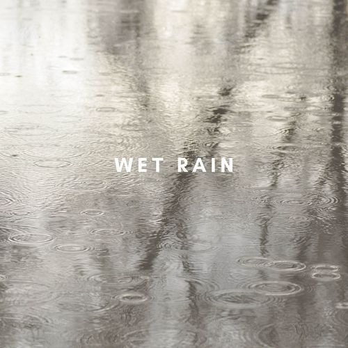 Zen Rain_poster_image