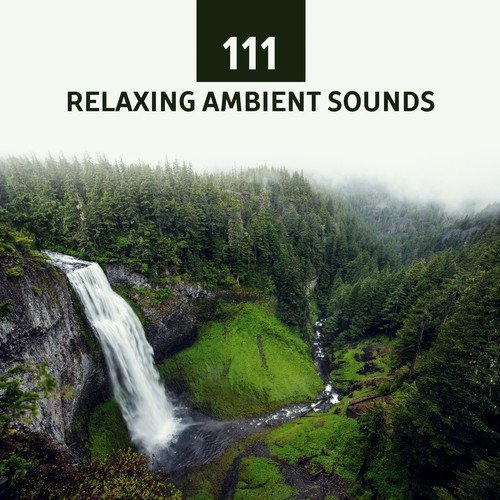 111 Relaxing Ambient Sounds (Asian Meditation Music and Songs for Yoga Classes, Healing Spa, Calm Nature, Mind & Sleep)