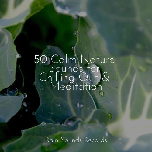 50 Calm Nature Sounds for Chilling Out & Meditation