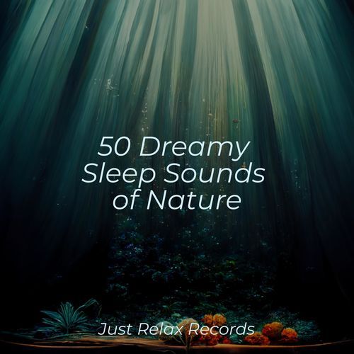 50 Dreamy Sleep Sounds of Nature