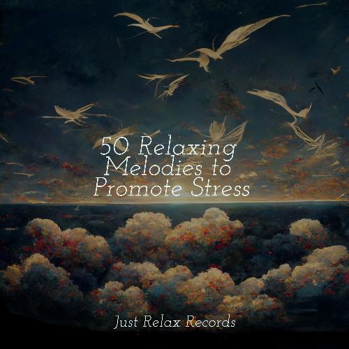 50 Relaxing Melodies to Promote Stress