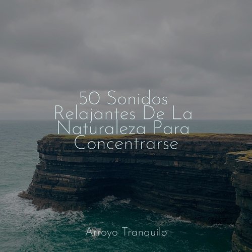 50 Sonidos Relajantes De La Naturaleza Para Concentrarse_poster_image