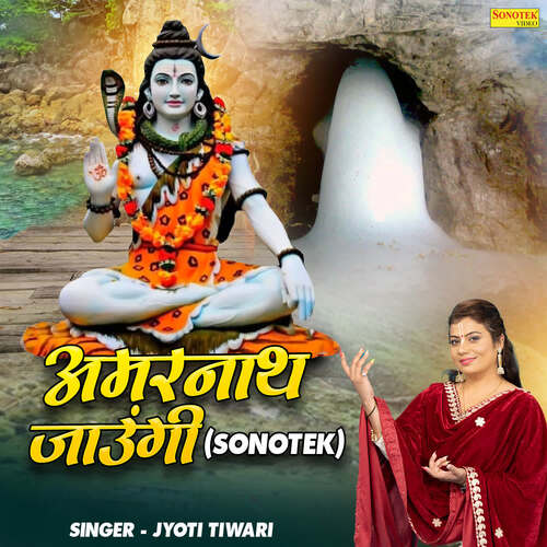 Amarnath Jaungi (Sonotek)