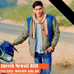 Aneesh Mewati Billi