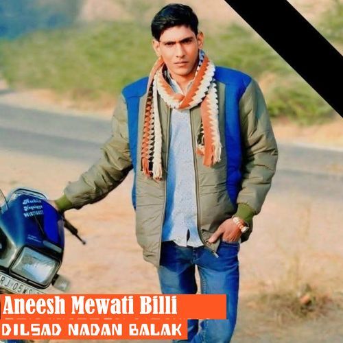 Aneesh Mewati Billi