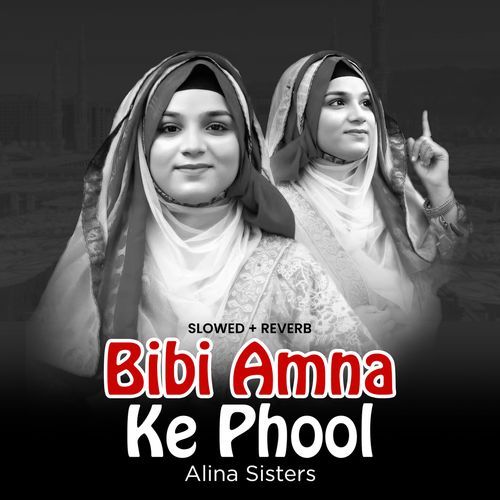 Bibi Amna Ke Phool (Lofi-Mix)