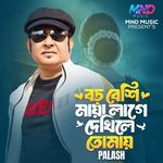 Boro Beshi Maya Lage Dekhile Tomay