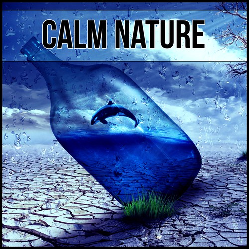 Calm Nature – Healing Songs of Nature, Soothing Waves, Calming Music, Sleep Well