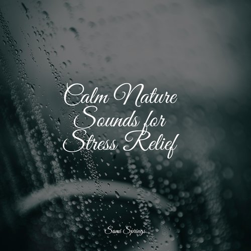 Calm Nature Sounds for Stress Relief